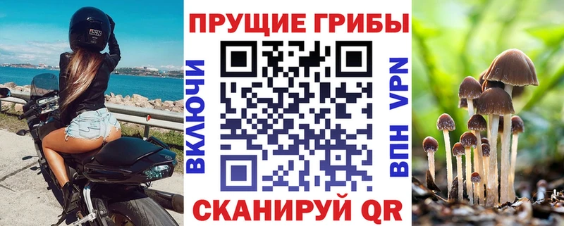 Купить закладки Заозёрск Галлюциногенные грибы Magic Shrooms